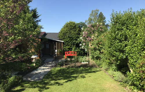 Blick in den Garten