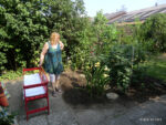 Es ist Hochsommer