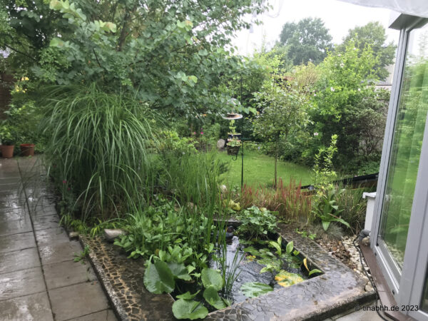 Bei Regen