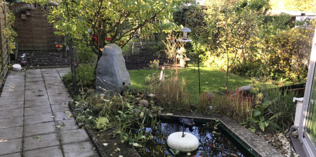 Blick in den Novembergarten