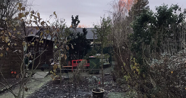 Blick in den Garten.