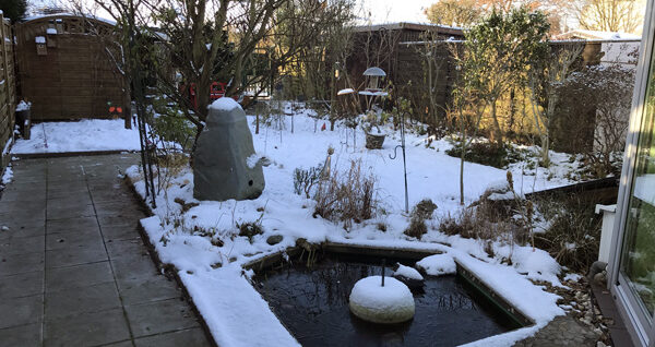Blick in den Garten