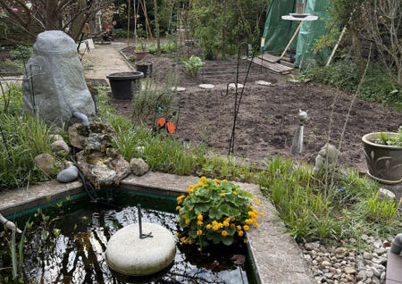 Blick in den Garten