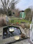 Gartenteich im Februar