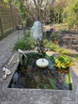 Gartenteich