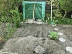 Gartenansicht