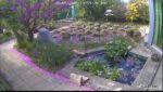Kartoffelbeet und Teich