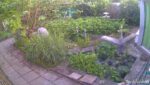 Schutznetz über dem Gartenteich
