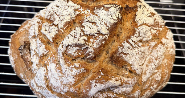 Brot